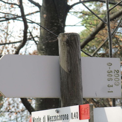 ldp