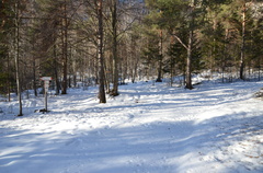 O507-ldo011-00-p01-171220-ED