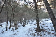 O507-ldo013-00-p01-171220-ED