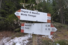 O508-ldp004-00-d01-171226-IC