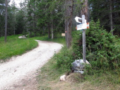 O508-ldp014-00-p01-180816-EG