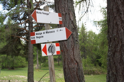 O508-ldp016-00-d1-110518