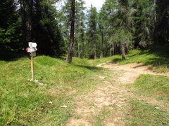 508-ldp017-02-p02-180816-EG