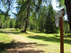 508-ldp018-00-p01-180816-EG