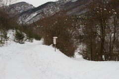 O509-ldp001-01-td-94