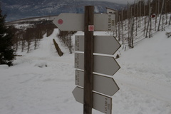 O509-ldp001-01-td-96