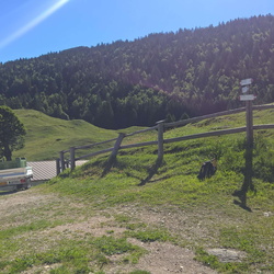 009-00