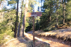 O511Aldp006-00-d1-161222-td-8298