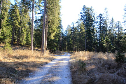 O511A-161222-td-8314-Pra-de-la-Vacca