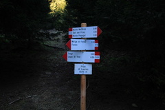 O511B-ldp002-00-d0-161222-td-8187