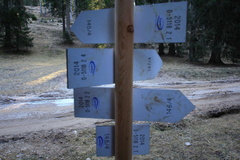 O511B-ldp002-00-d2-161222-td-8188