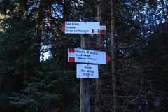 O513-ldp003-00-d1-161222-td-8324