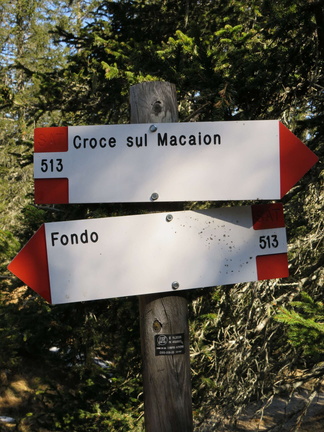 O513-ldp008-00-d02-170522