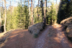 O513-Crosara-bivioO511A-161222-td-8297copia