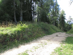 O514-cc-1309204