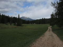 O514-cc-1309205