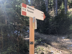 O515-ldp007-00-d02-220323-ED