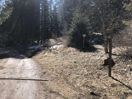 O515-ldp007-00-p01-220323-ED