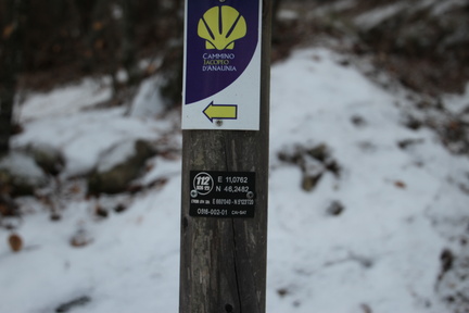 O516-ldp002-01-td-10