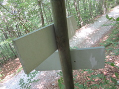 O516-LDP004-00-D2-30062017-DM