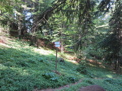 O516-LDP010-00-P3-30062017-DM