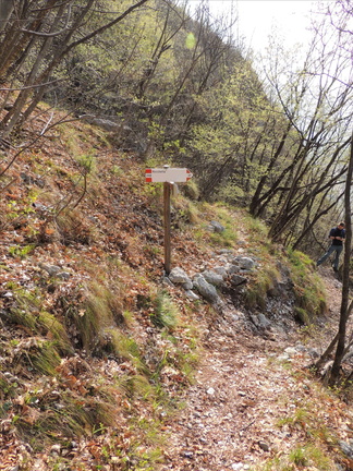 O516B-LDP002-00-P1-170326-FM (5 visite) O516B-LDP002-00-P1-170326-FM