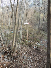 O516B-LDP002-01-P1-170326-FM