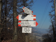 O516B-LDP003-00-D1-170326-FM