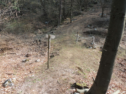 O516B-LDP003-00-P3-170326-FM