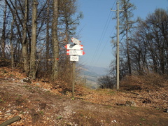 O516B-LDP003-00-P4-170326-FM