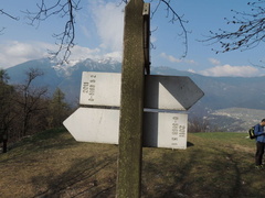 O516B-LDP005-00-D3-170326-FM