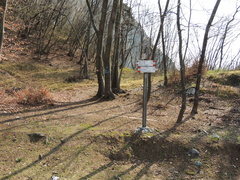 O516B-LDP005-00-P2-170326-FM