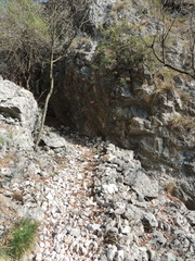 DSCN3954