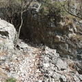 DSCN3954
