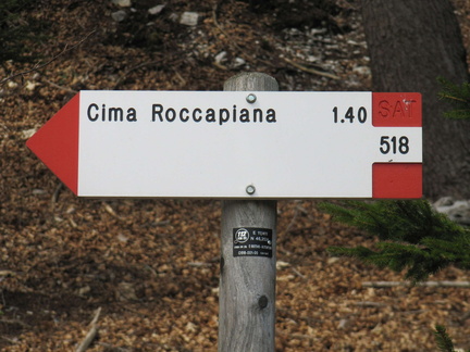 O518-ldp001-00-d1-170326-MZ