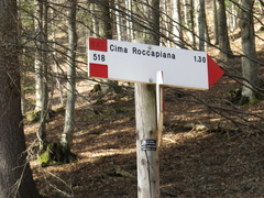 O518-ldp002-00-d1-170326-MZ