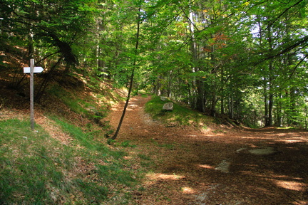 O518-ldp002-00-p1-130922-td