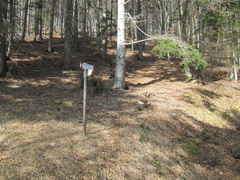 O518-ldp002-00-p2-170326-MZ