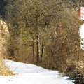 O522-ldp002-00-1712173