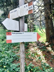 O525-ldp001-01-d01-250607-AM