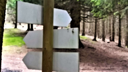 O526-ldp001-00-d02-170507.jpg