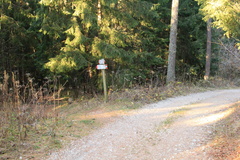 O527-ldp004-01-p1-161205-td