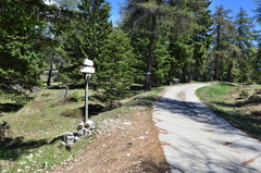 O528-ldp002-00-p01-160522-CE