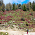 O528-Monte-Roen-0033