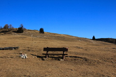 O528-daMalgaSmarano-Sfruz-170102-td