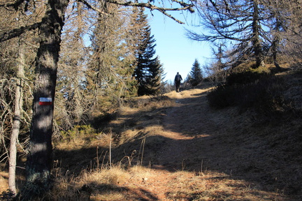 O528A-170102-td-8760