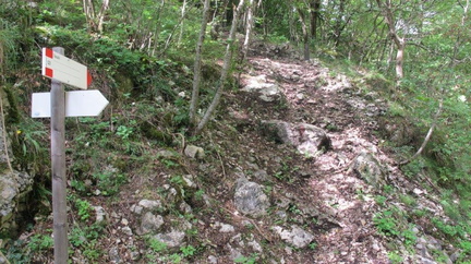 O529-ldp005-00-p01-210817-EG