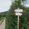O529-ldp007-00-d01-210817-EG
