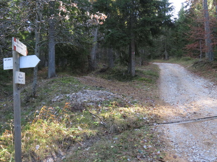 O531-ldp006-00-p1-171024