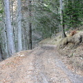 O533-160328.jpg